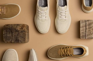 AllBirds