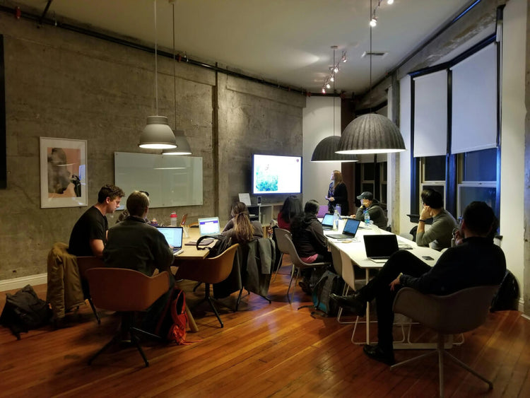 Our Web Design Team